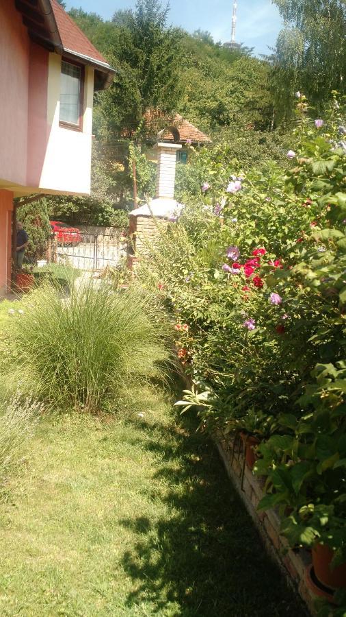 House Annesa Apartment