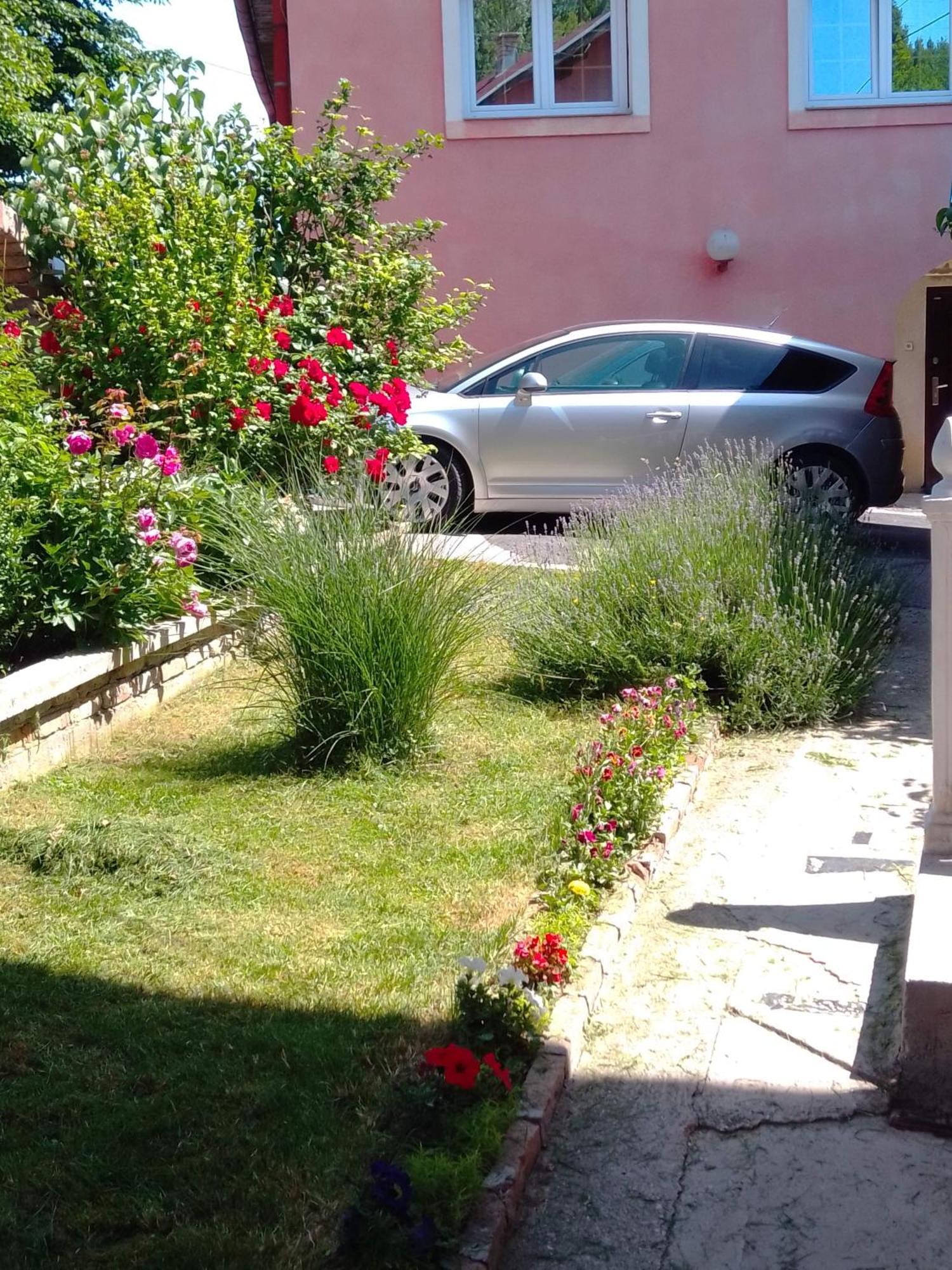 House Annesa Apartment Sarajevo